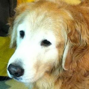 Meet your Posher, Stacey